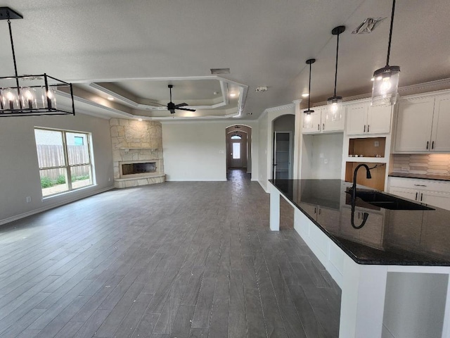 701 Eagle Claw Dr, Salado, TX 76571 - kitchen featuring a sink, dark wood finished floors, white cabinetry, a ceiling fan, and a raised ceiling