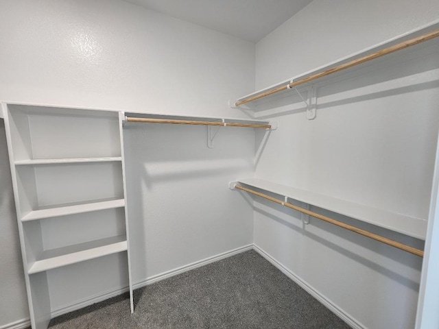 701 Eagle Claw Dr, Salado, TX 76571 - walk in closet with dark colored carpet