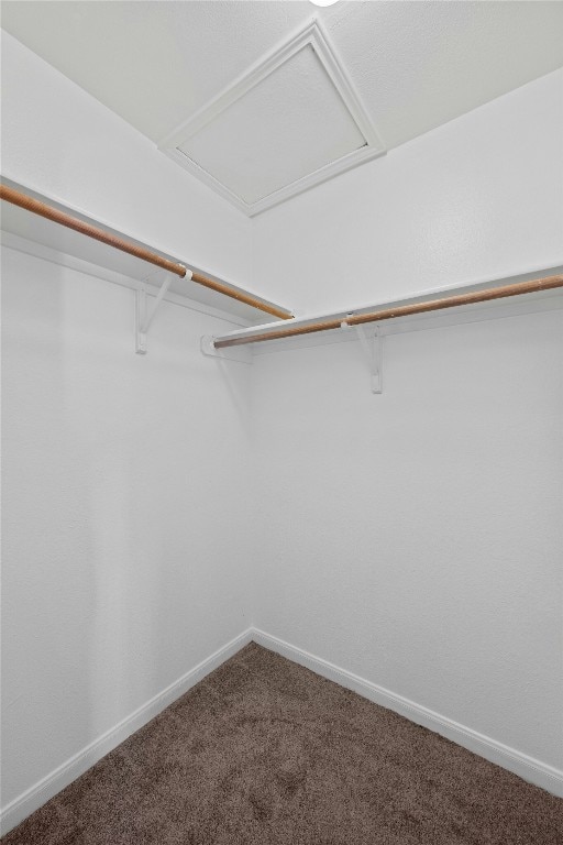 3201 El Salido Pkwy Bldg E, Cedar Park, TX 78613 - walk in closet featuring attic access and carpet