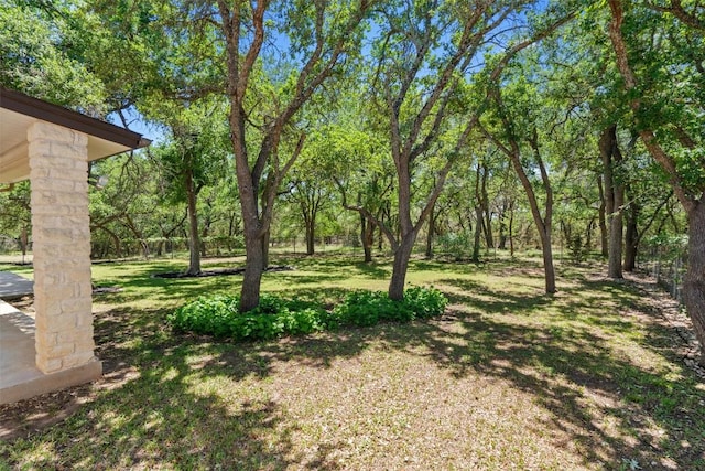view of yard