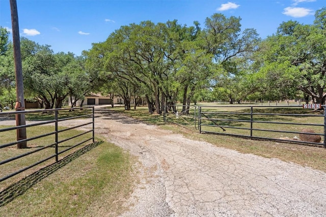 view of street with driveway, a rural view, and a gated entry