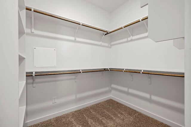walk in closet with dark colored carpet