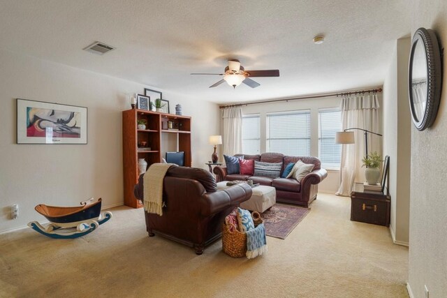 1205 Boerne Dr, Cedar Park, TX 78613 - photo 12