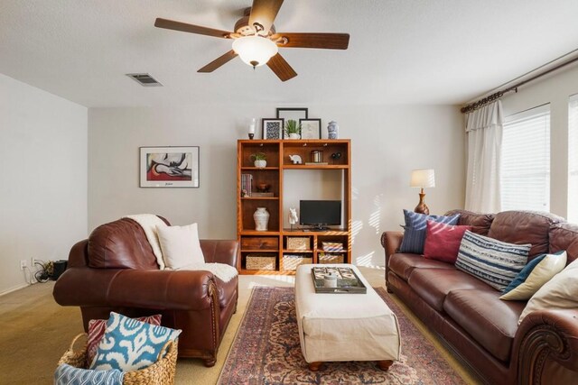 1205 Boerne Dr, Cedar Park, TX 78613 - photo 13