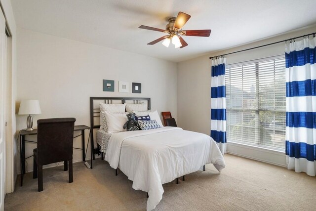 1205 Boerne Dr, Cedar Park, TX 78613 - photo 16
