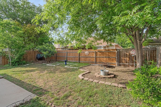 2300 Rick Whinery Dr, Austin, TX 78728 - view of yard