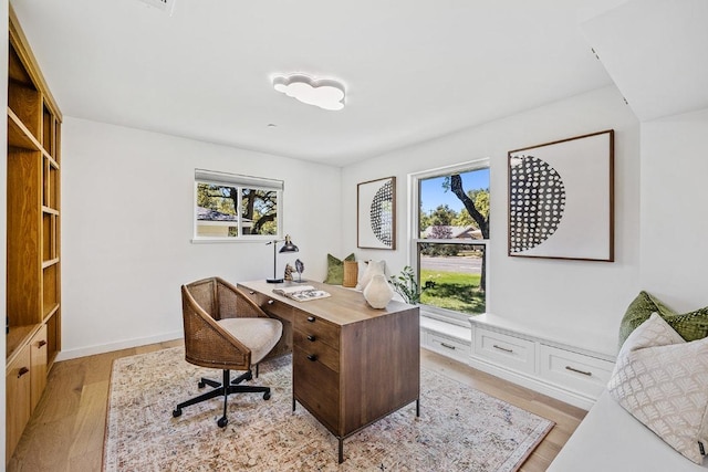 office space featuring a healthy amount of sunlight and light wood finished floors
