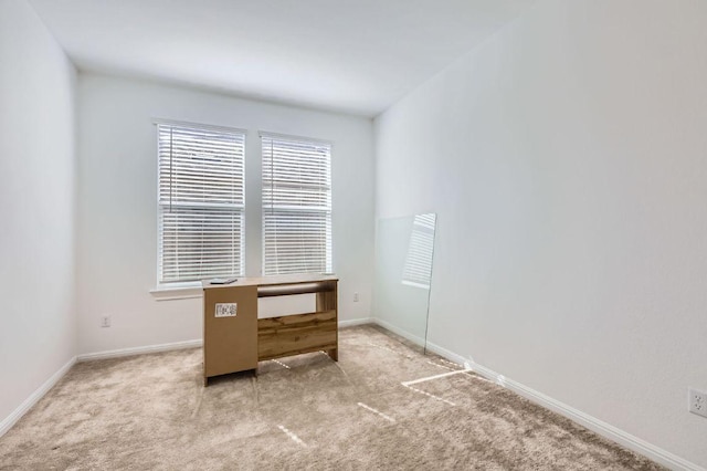 169 Slenderleaf Dr, Marble Falls, TX 78654 - unfurnished office featuring carpet floors and baseboards