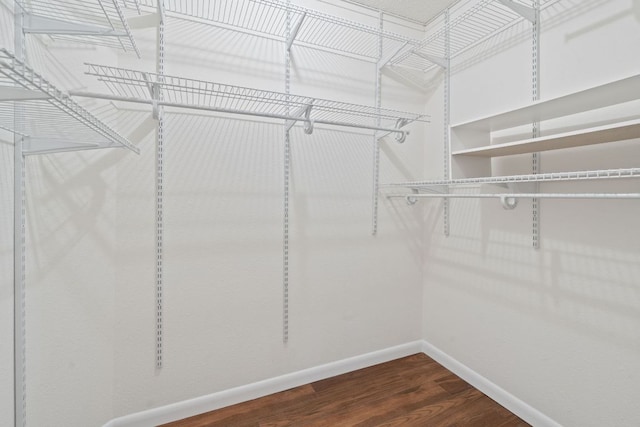 8104 Isaac Pryor Dr, Austin, TX 78749 - walk in closet featuring wood finished floors