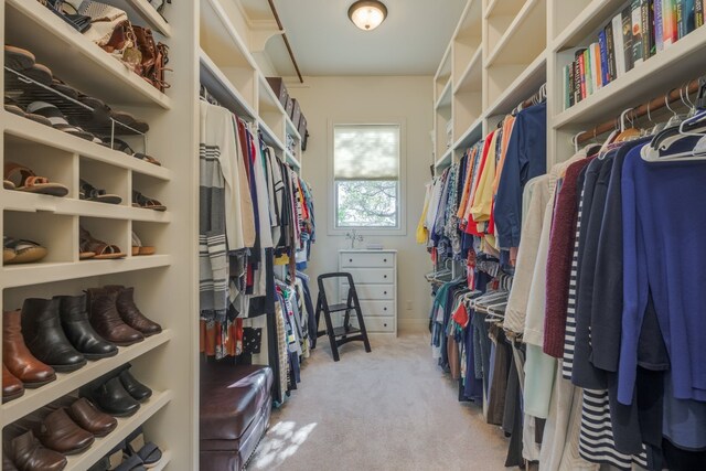 spacious closet with light carpet