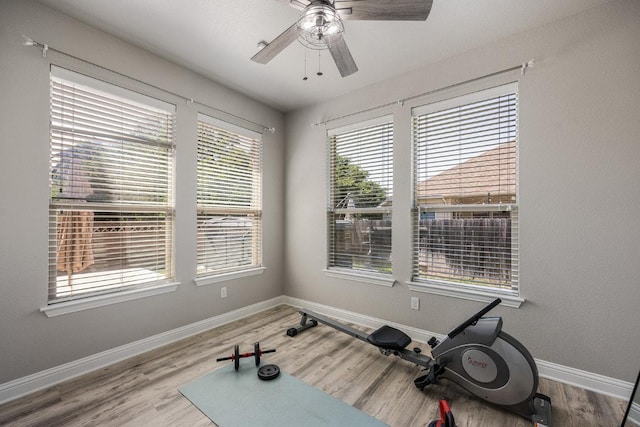 exercise area featuring wood finished floors, baseboards, and a ceiling fan