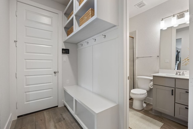 229 S Park Vis, Georgetown, TX 78628 - mudroom with a sink and wood finished floors