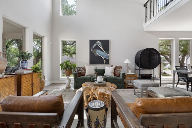 229 S Park Vis, Georgetown, TX 78628 - living area with a high ceiling, healthy amount of natural light, wood finished floors, and baseboards