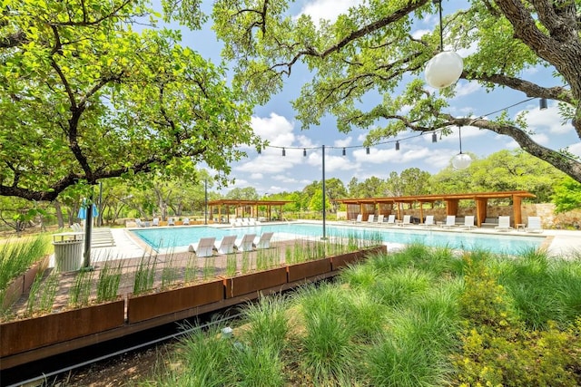 229 S Park Vis, Georgetown, TX 78628 - view of community pool