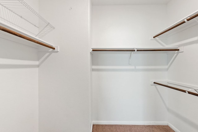 walk in closet with carpet flooring