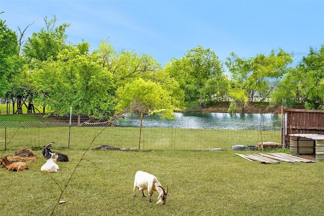 1124 Dyer Creek Pl, Round Rock, TX 78665 - view of yard with a water view