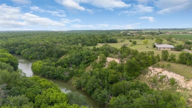 birds eye view of property with a water view and a forest view