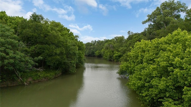water view featuring a forest view