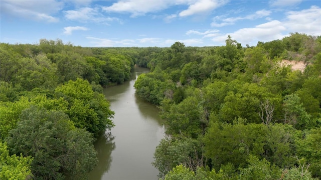 drone / aerial view featuring a forest view and a water view