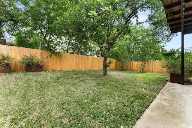 4302 Red Cloud Dr, Austin, TX 78759 - view of yard