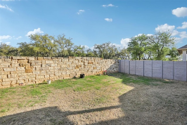 244 Diamondback Dr, Georgetown, TX 78628 - view of yard