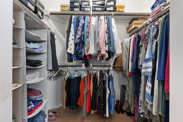 1404 Jenkins Bnd Unit 11, Austin, TX 78748 - walk in closet featuring carpet flooring