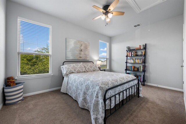 1404 Jenkins Bnd Unit 11, Austin, TX 78748 - bedroom with attic access, carpet floors, and a ceiling fan