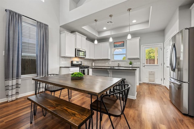 1404 Jenkins Bnd Unit 11, Austin, TX 78748 - kitchen featuring appliances with stainless steel finishes, a tray ceiling, dark wood-style floors, white cabinetry, and recessed lighting