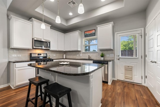 1404 Jenkins Bnd Unit 11, Austin, TX 78748 - kitchen featuring appliances with stainless steel finishes, a tray ceiling, dark wood-style floors, white cabinets, and recessed lighting