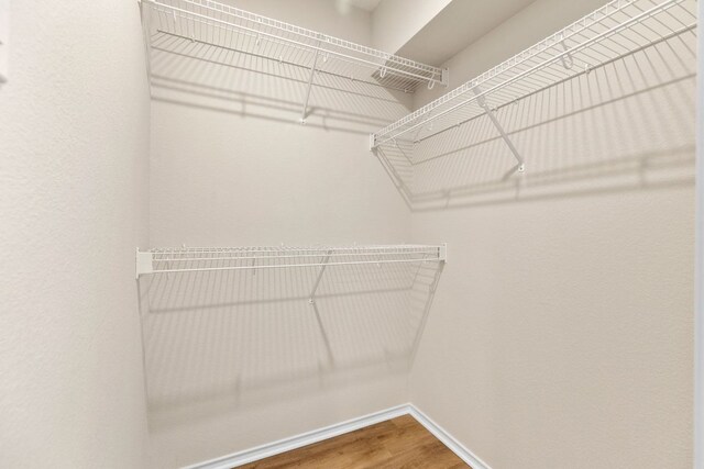 spacious closet featuring wood finished floors