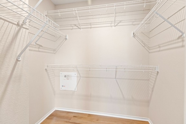 walk in closet with wood finished floors