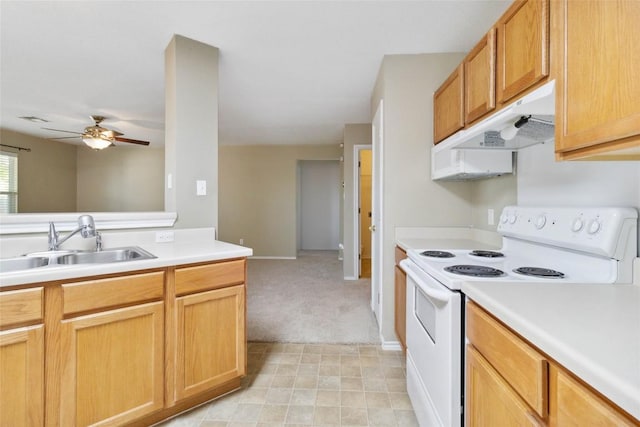 223 Sylvan St, Hutto, TX 78634 - kitchen featuring under cabinet range hood, white range with electric stovetop, a sink, and light countertops