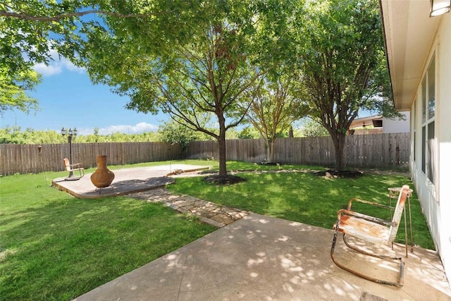 223 Sylvan St, Hutto, TX 78634 - view of yard featuring a fenced backyard and a patio area