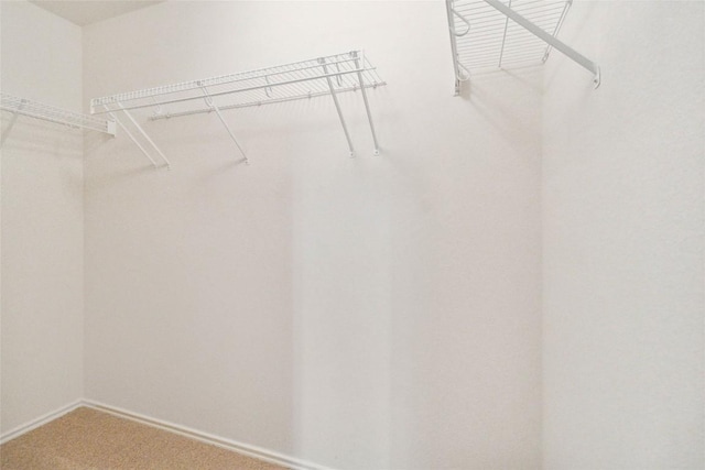 223 Sylvan St, Hutto, TX 78634 - walk in closet featuring light colored carpet
