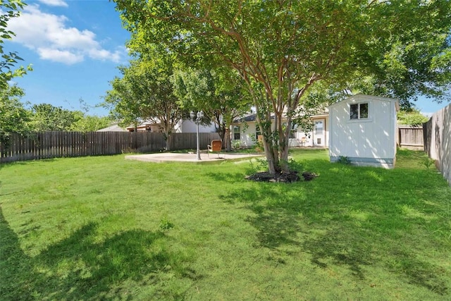 223 Sylvan St, Hutto, TX 78634 - view of yard featuring a fenced backyard, an outdoor structure, a patio, and a storage unit