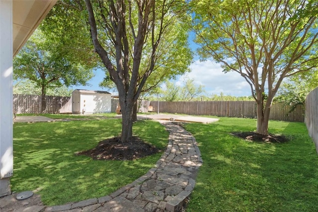 223 Sylvan St, Hutto, TX 78634 - view of yard with a storage shed, an outbuilding, and a fenced backyard