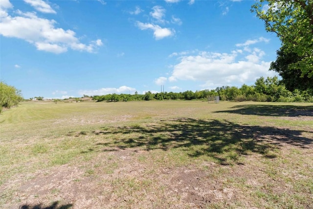 223 Sylvan St, Hutto, TX 78634 - view of local wilderness