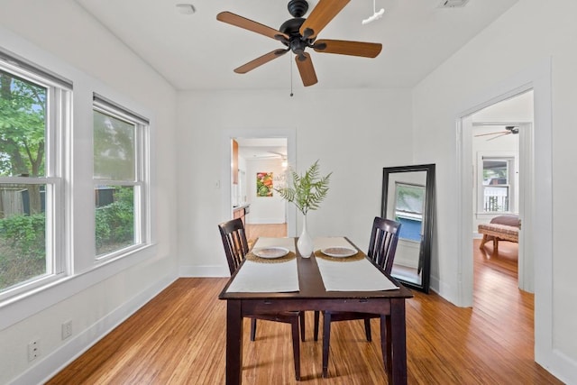 4901 Ave F, Austin, TX 78751 - photo 10