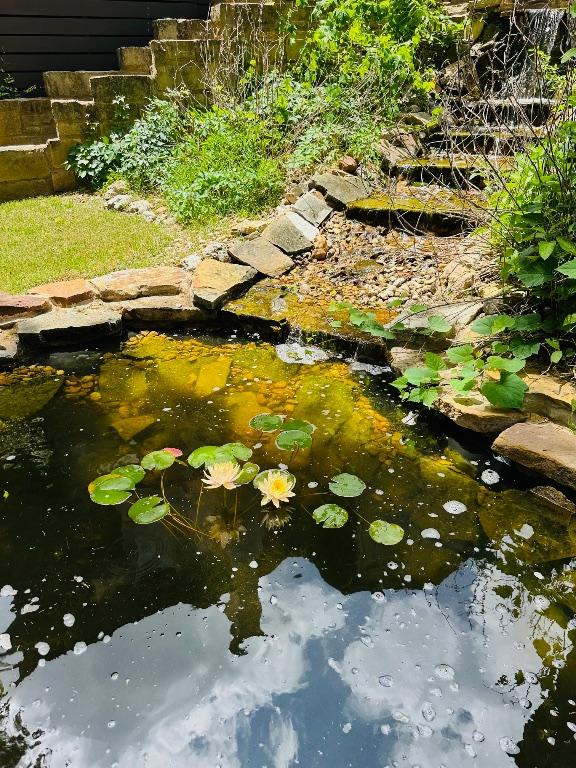 exterior details featuring a garden pond