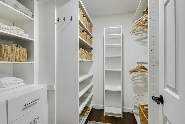 spacious closet with dark wood-type flooring