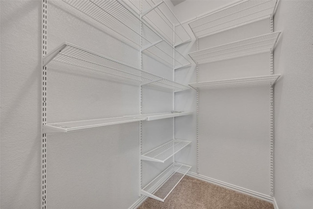 1136 Azul Lagoon Dr, Leander, TX 78641 - walk in closet featuring carpet
