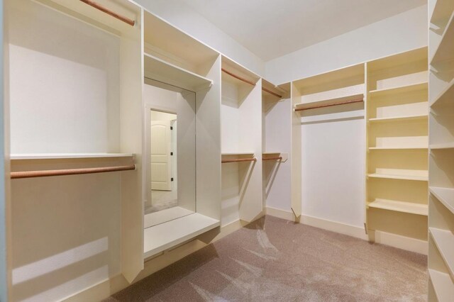 walk in closet featuring carpet