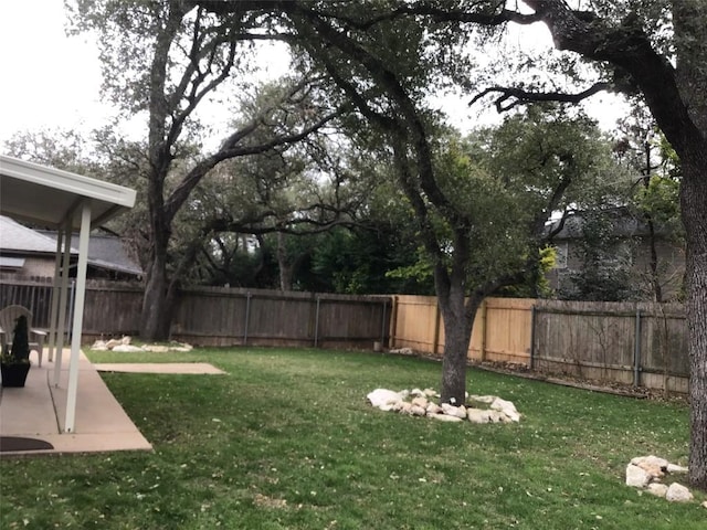 view of yard featuring a fenced backyard and a patio area
