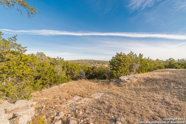 124 Calhoon Ct, Canyon Lake, TX 78133
