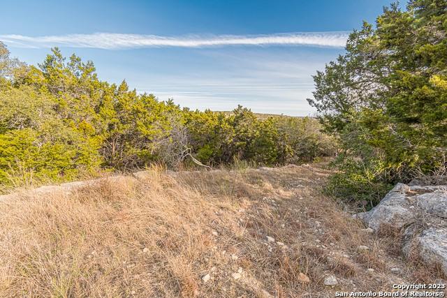 124 Calhoon Ct, Canyon Lake, TX 78133