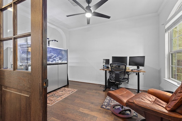 office with dark wood finished floors, visible vents, a ceiling fan, and crown molding