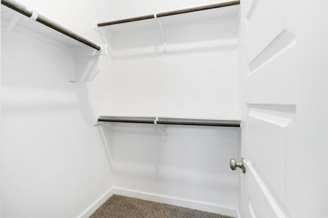 1109 Sweetspire St, Leander, TX 78641 - walk in closet with carpet flooring