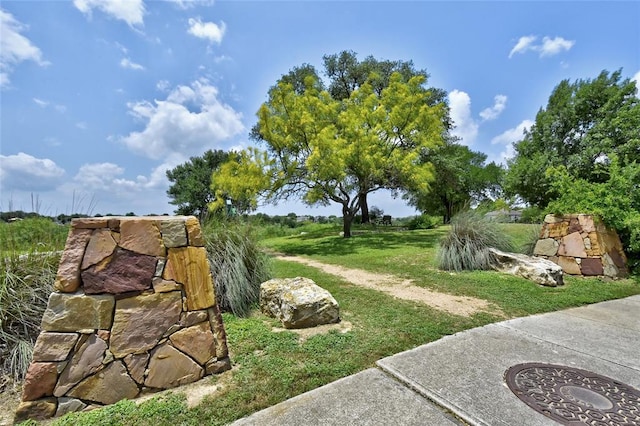 view of community featuring a lawn