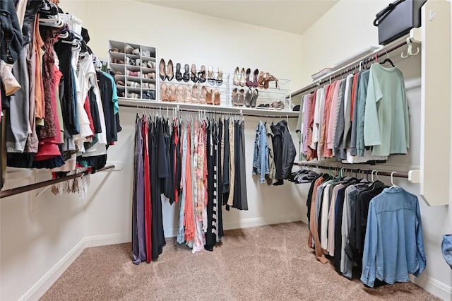 walk in closet featuring carpet