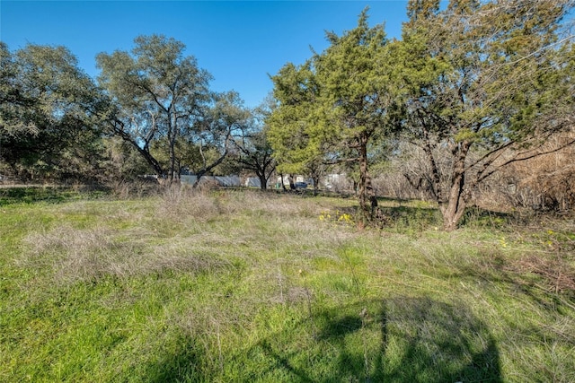 10509 W Lakeview Dr, Jonestown, TX 78645